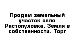 Продам земельный участок село Растопуловка. Земля в собственности. Торг